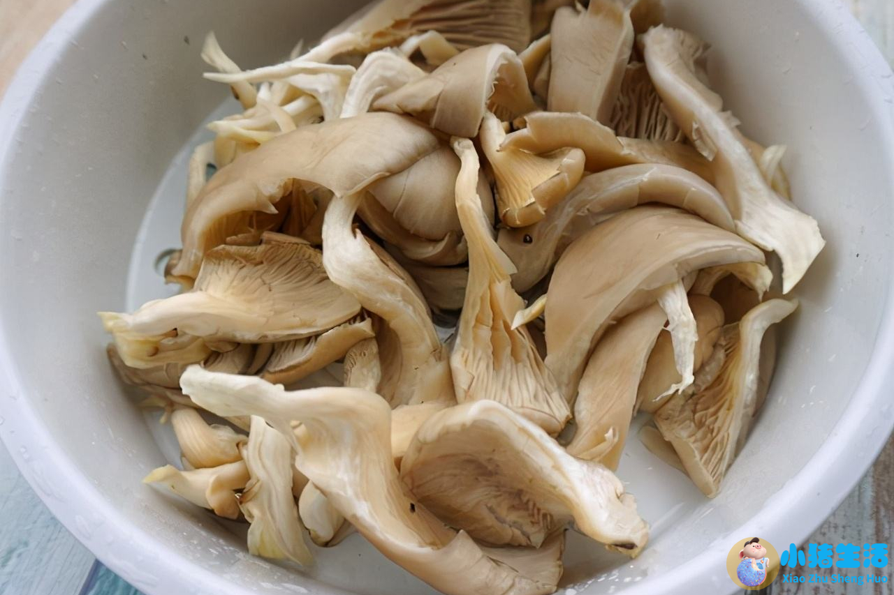 养生食物做法大全