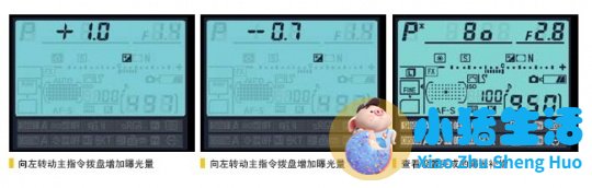 Nikon D800使用详解——曝光补偿的设置及使用技巧