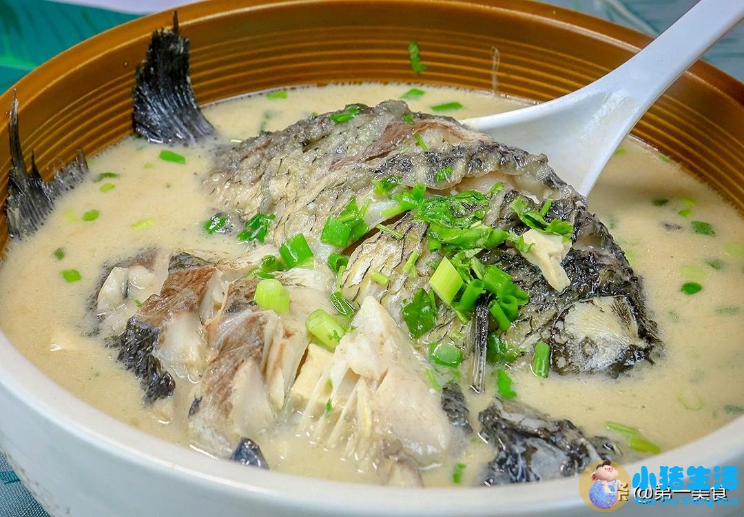 养生食物做法大全