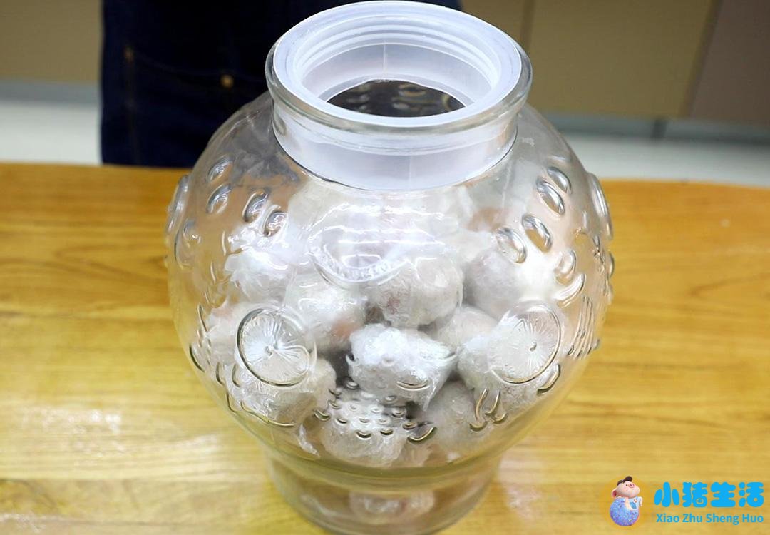 养生食物做法大全
