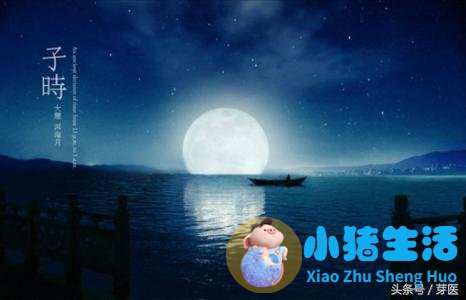 十二时辰养生经，健康就是这么一天天攒