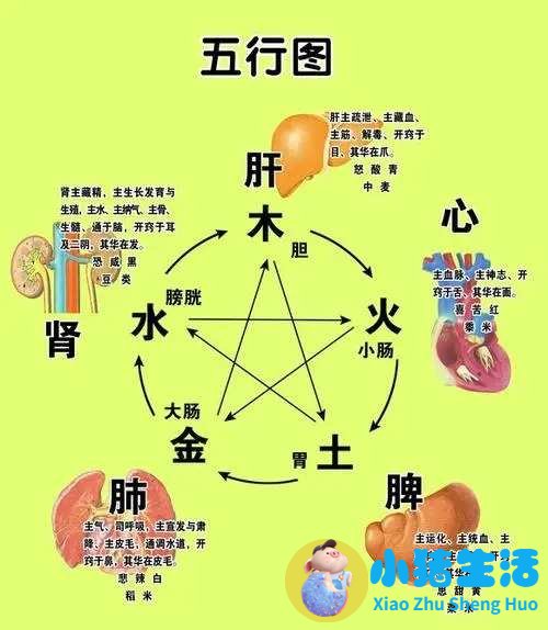 十二时辰养生及食物秋季如何养生