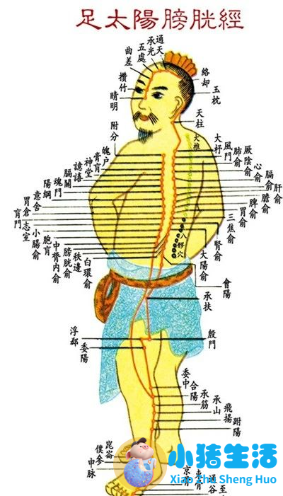 十二时辰养生及食物秋季如何养生