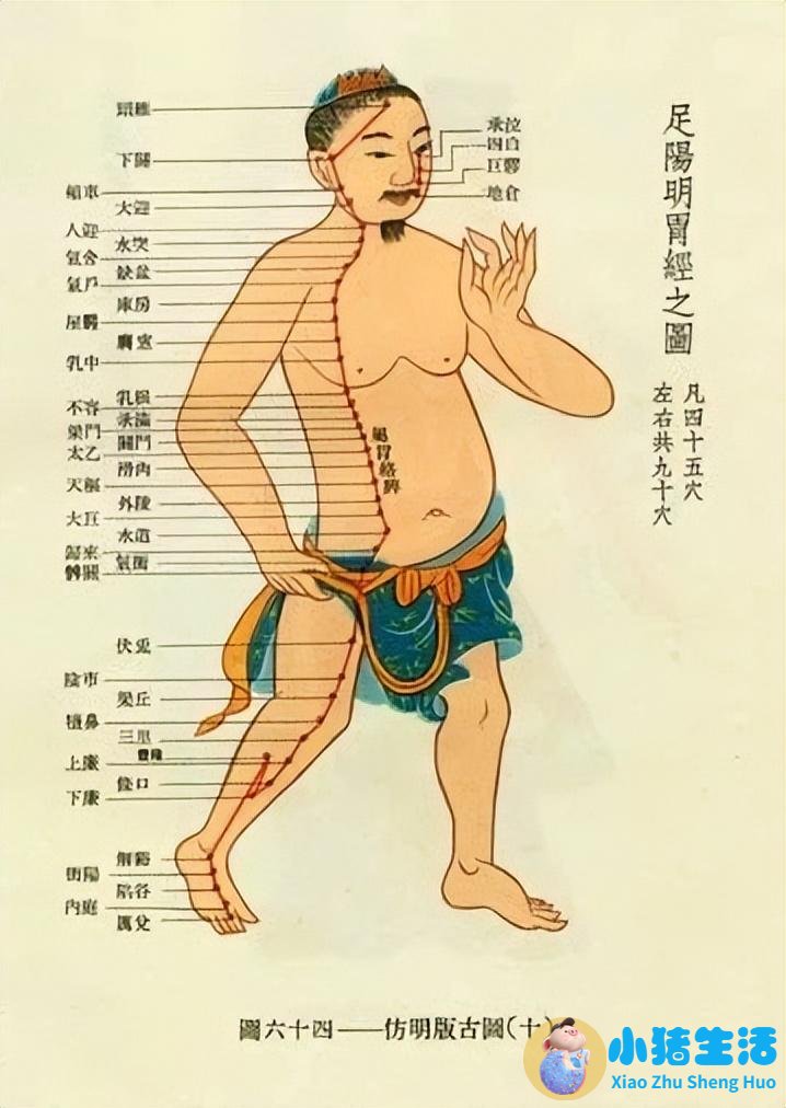 十二时辰养生及食物秋季如何养生