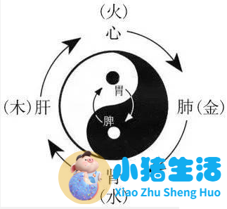 十二时辰养生及食物秋季如何养生