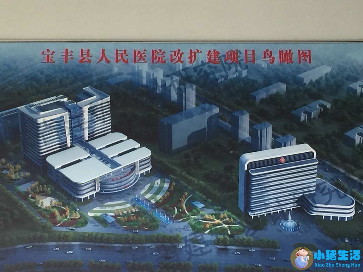 医改政策2023