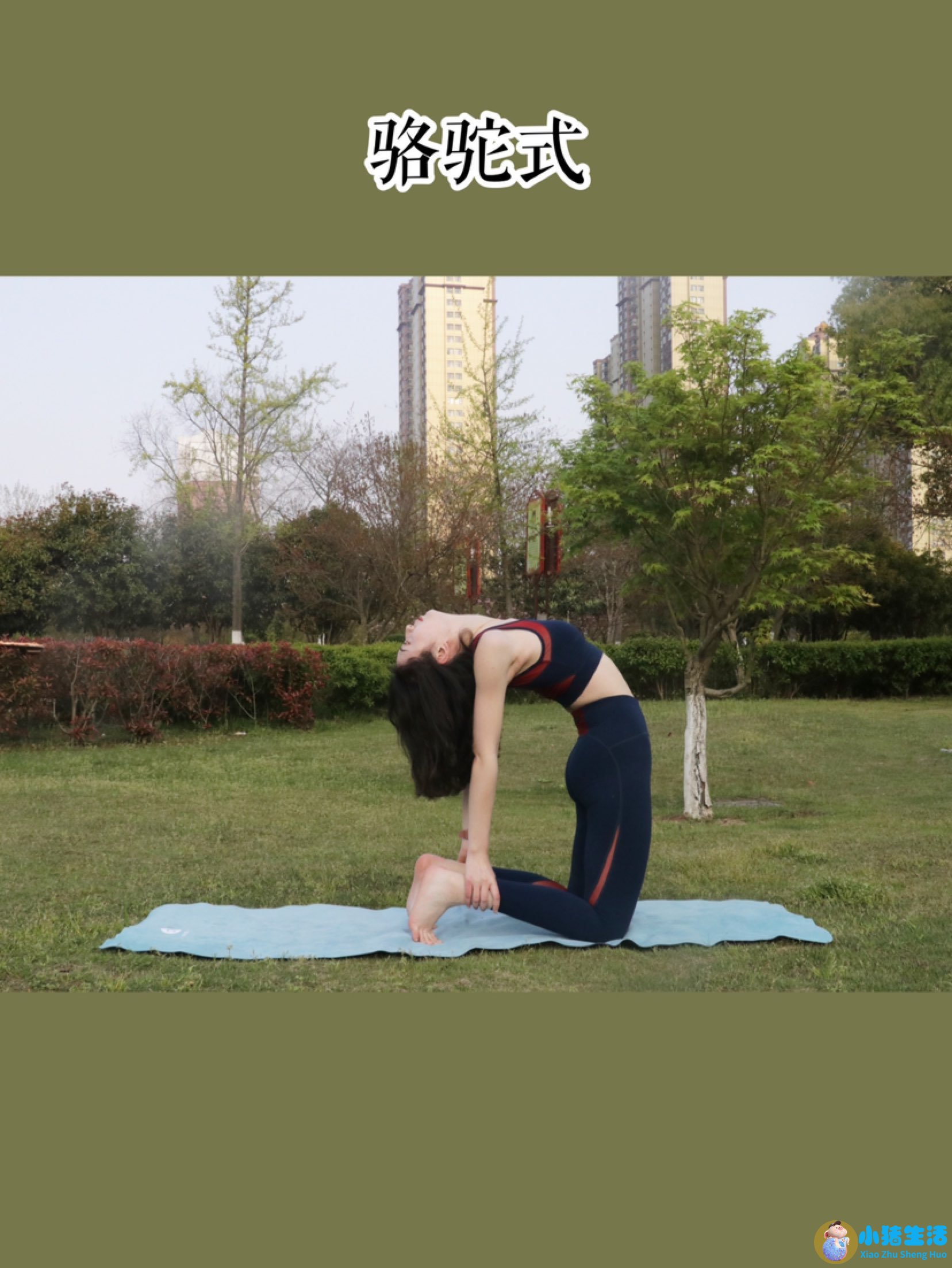 瑜伽背影图片