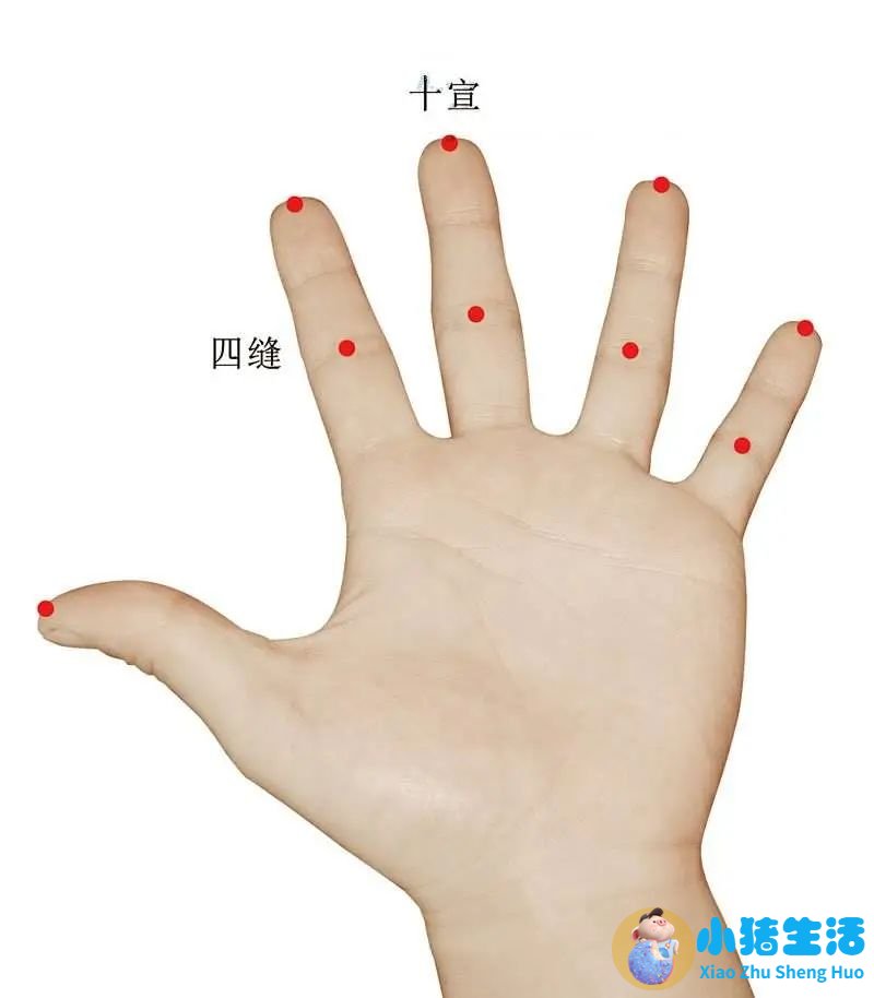 喝中药拉肚子是排湿吗