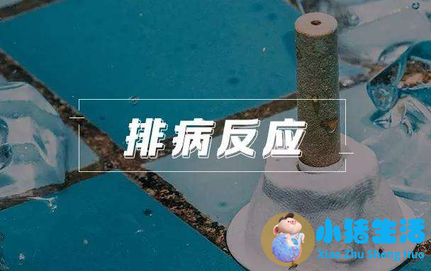 喝中药拉肚子是排湿吗