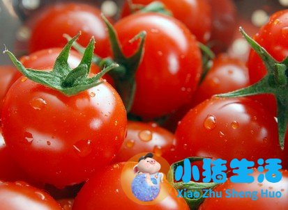 相比瘦人而言胖人或许并不能更好地享受