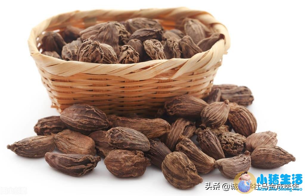喝中药拉肚子是排湿吗