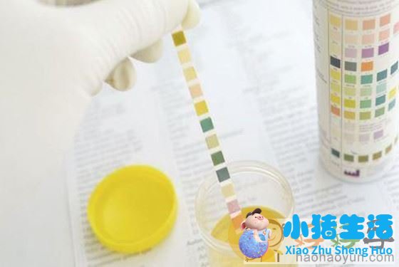 最简单的土方法验孕 不用试纸也照样能检