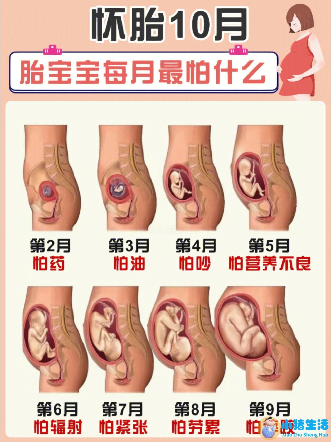 怀孕初期能过安检门吗