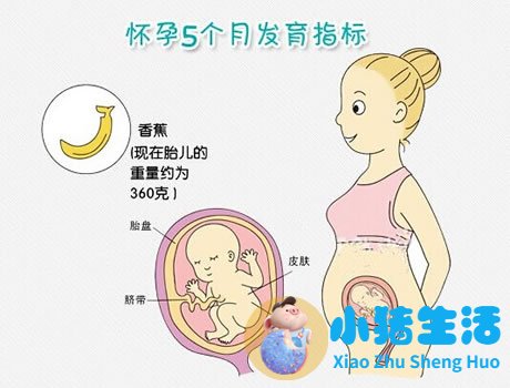 怀孕初期能过安检门吗