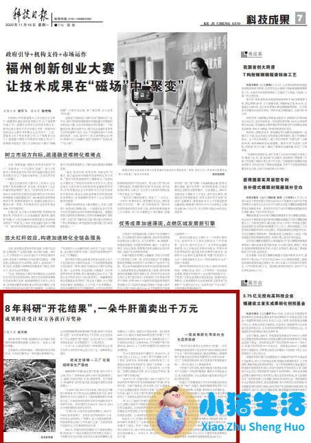 “一朵牛肝菌”卖出千万元！《科技日报