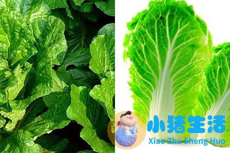 科学减肥一个月减30斤
