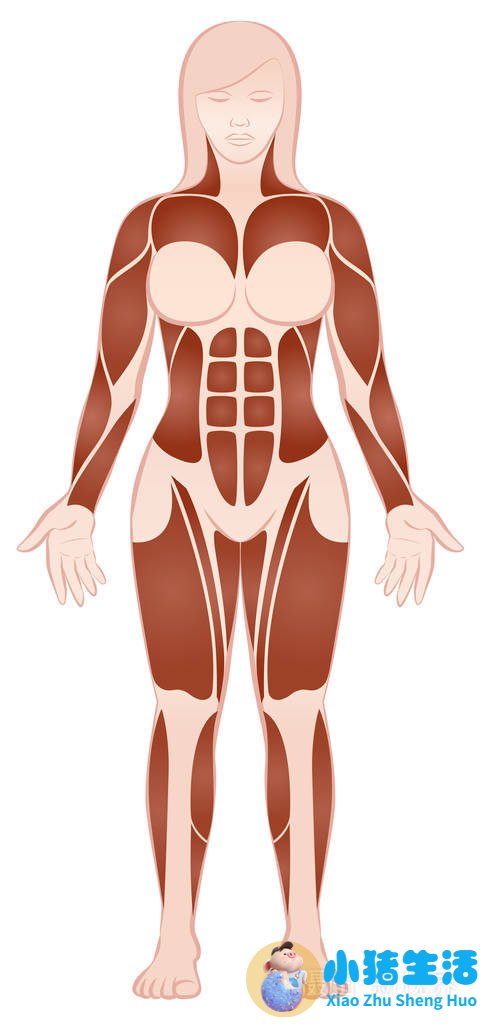 科学减肥一个月减30斤