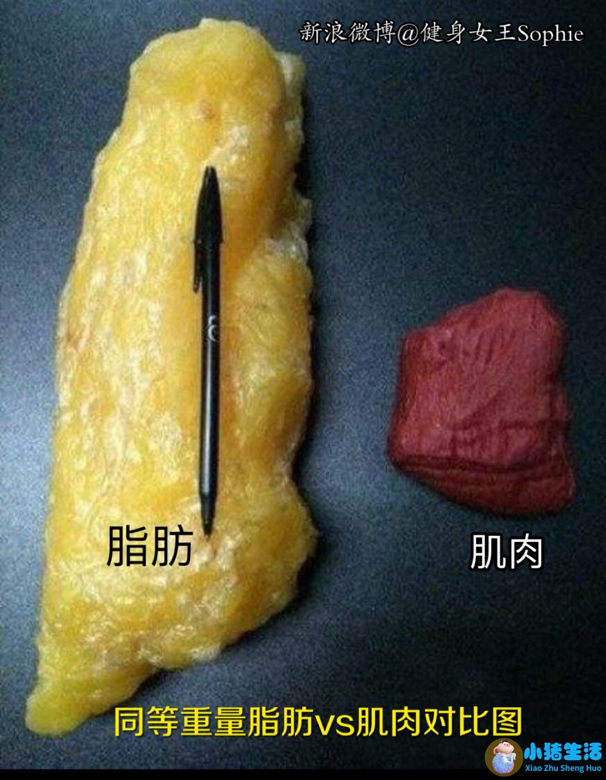 科学减肥一个月减30斤