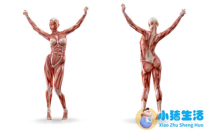 科学减肥一个月减30斤