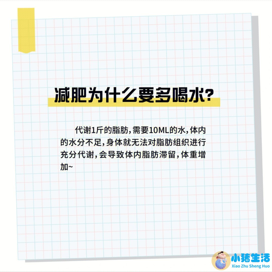 科学减肥一个月减30斤