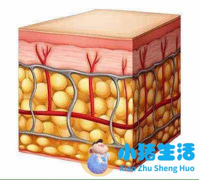 科学减肥一个月减30斤