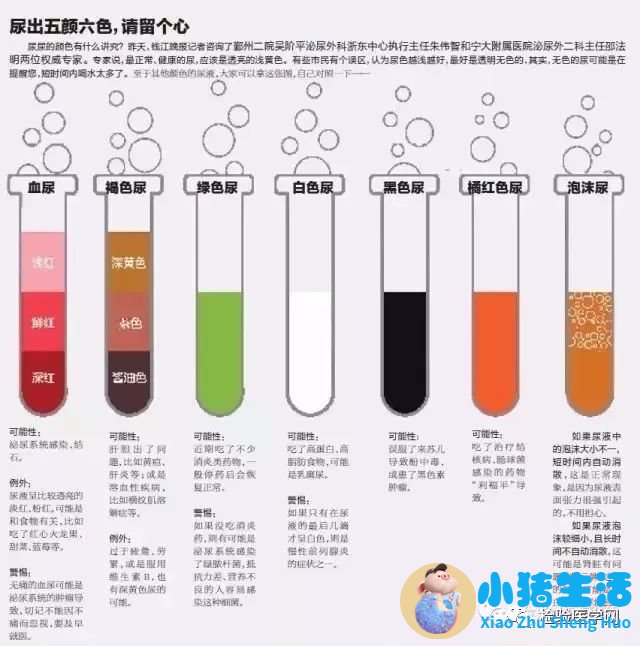 怀孕嗜中性粒细胞偏高