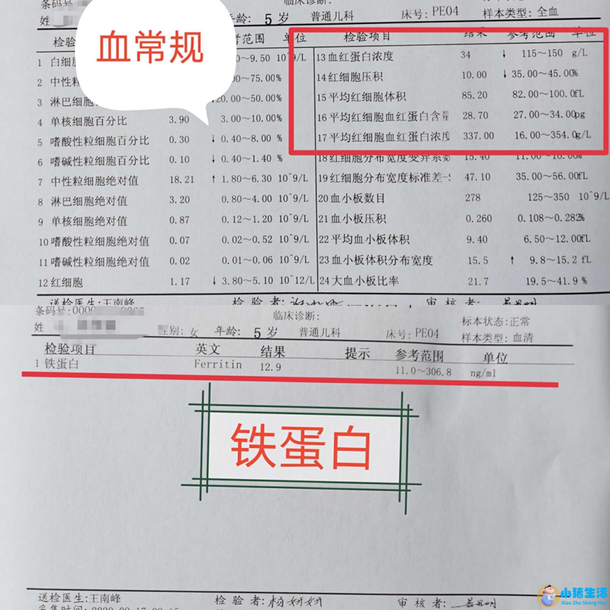 怀孕嗜中性粒细胞偏高