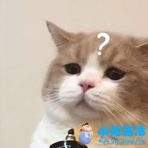 怀孕嗜中性粒细胞偏高