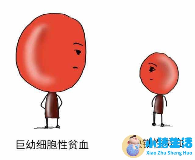 怀孕嗜中性粒细胞偏高