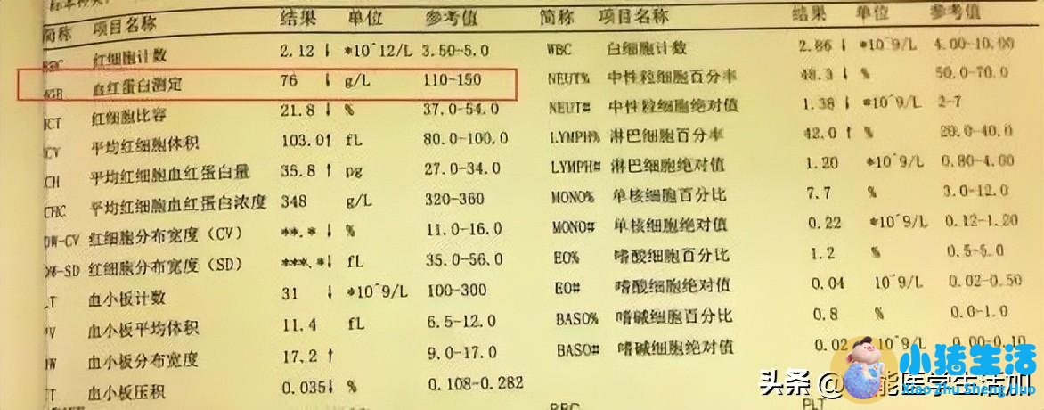 怀孕嗜中性粒细胞偏高