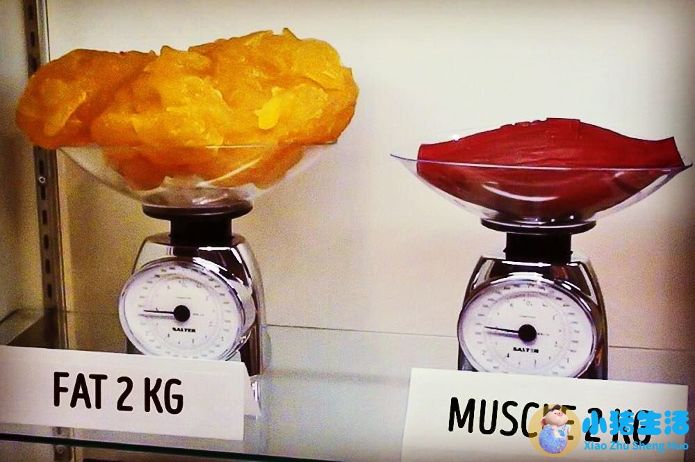 科学减肥原理是什么