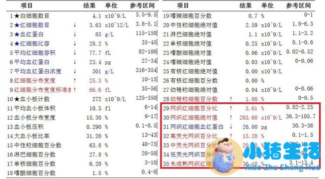 怀孕嗜中性粒细胞偏高