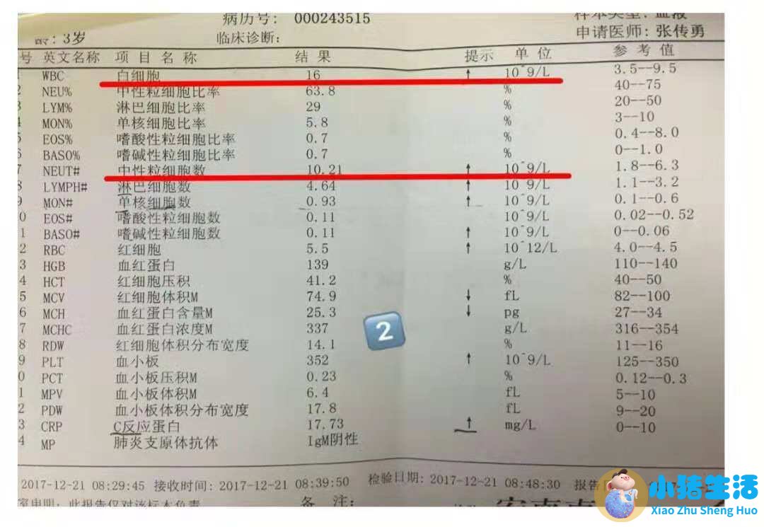 怀孕嗜中性粒细胞偏高