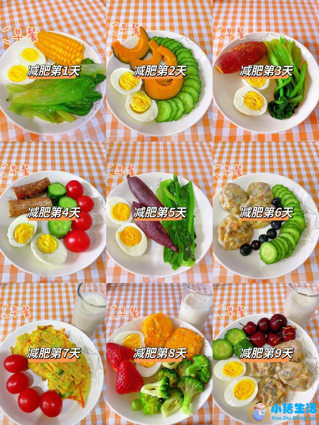 科学减肥原理是什么