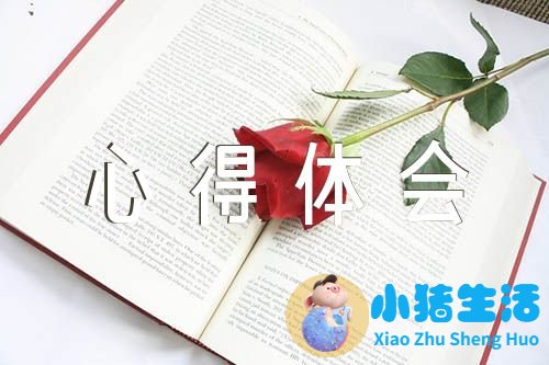 家长大班育儿经验心得体会幼儿园精选四