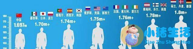 世界卫生组织 健康食品排行榜
