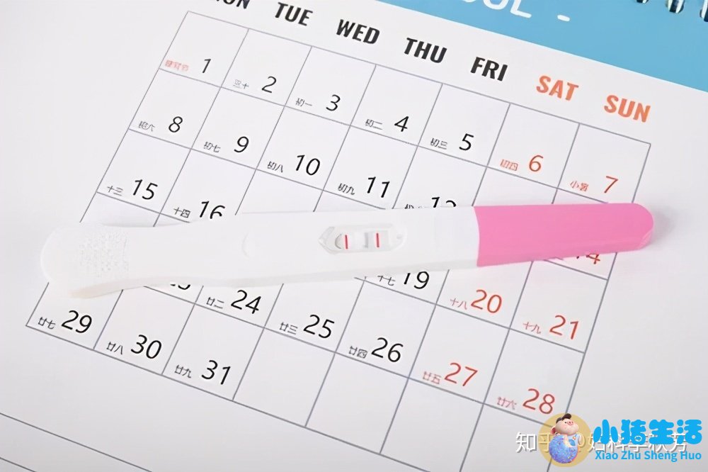 羊羔疯怀孕能查到吗