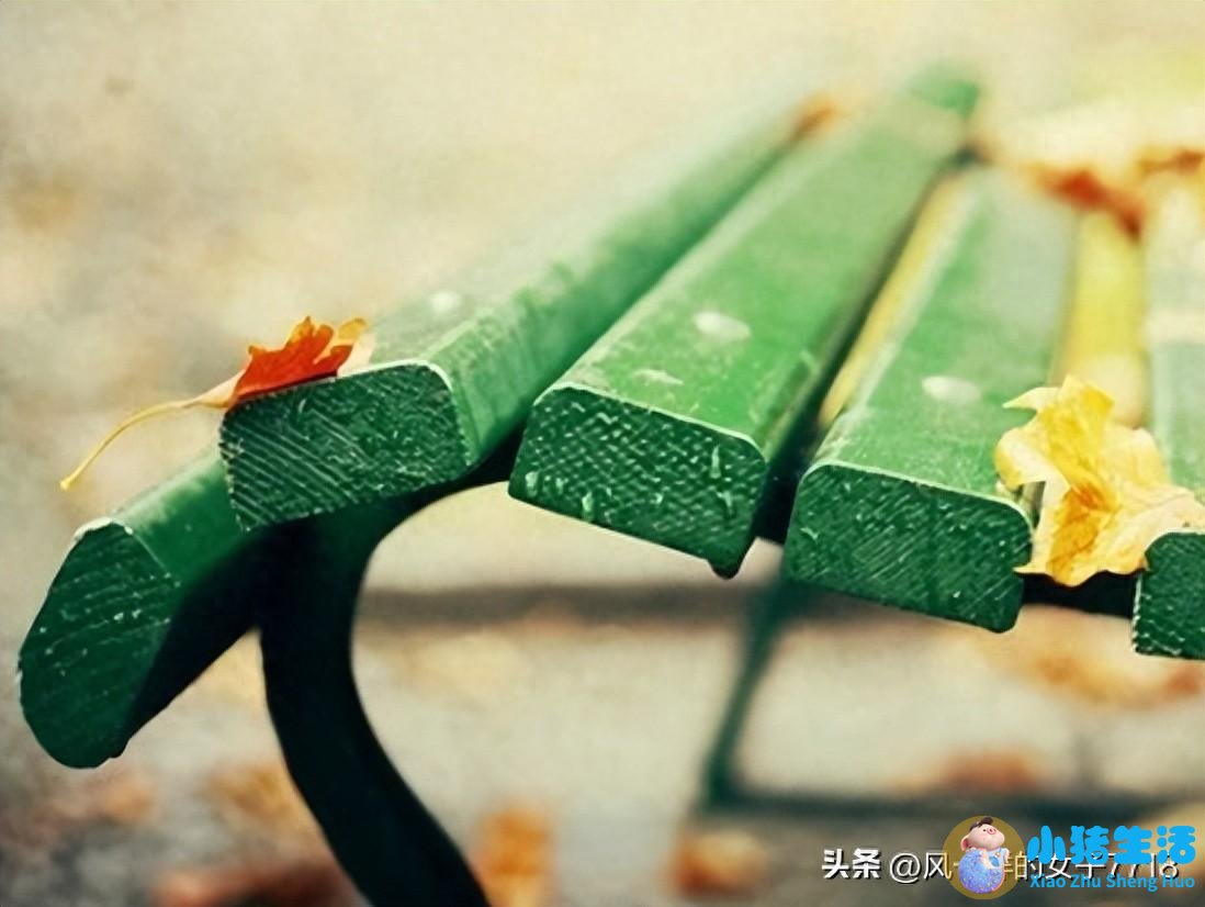 婚姻中的挑战与选择：从传统到现代的家