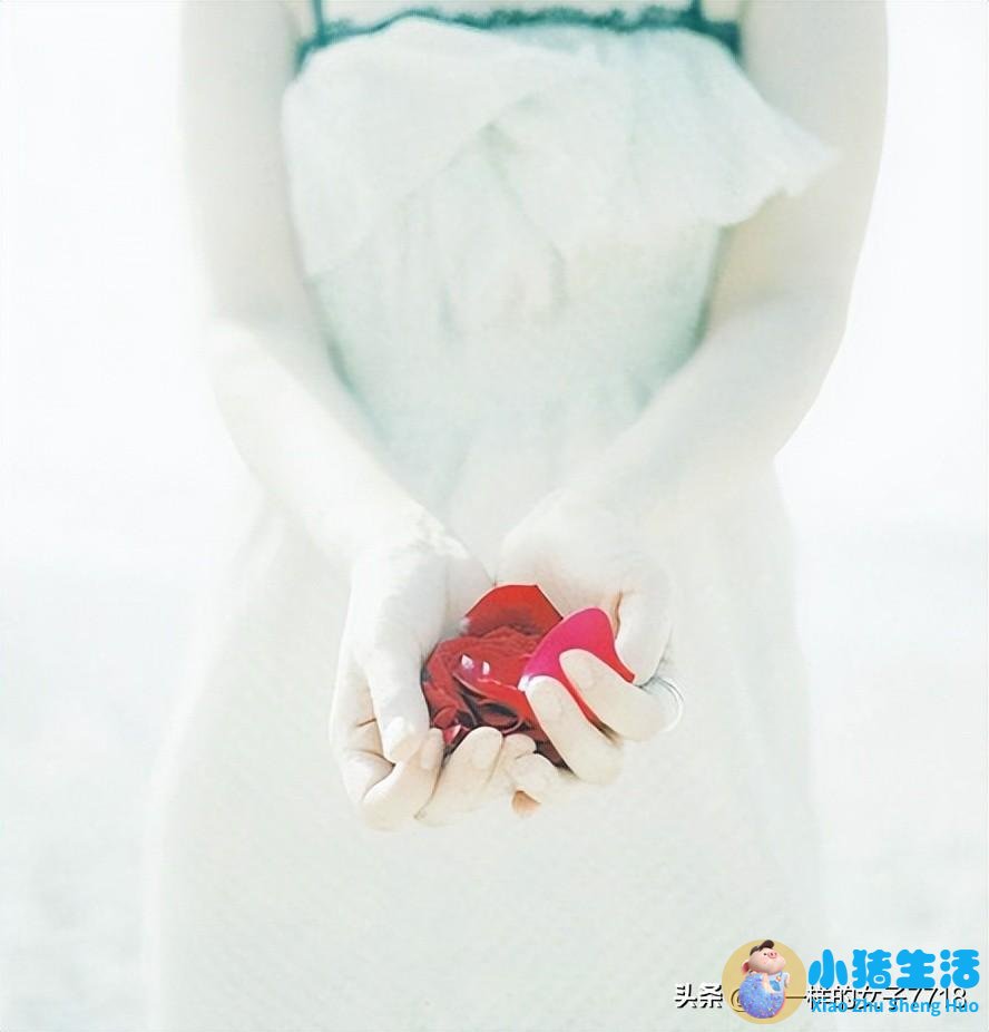 婚姻家庭的理解和认识