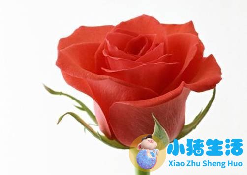 男人最吸引女人的魅力