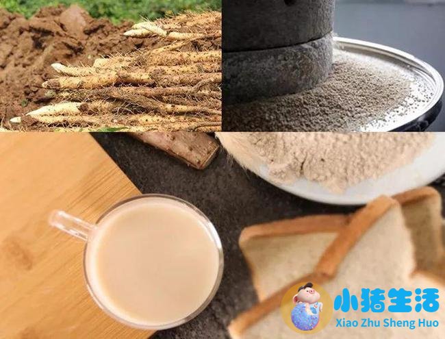 冬季男性养生食谱