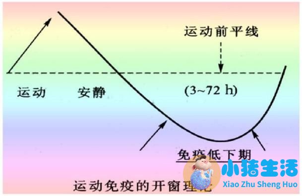 运动减肥瘦身方法