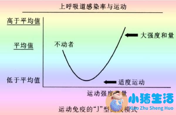 运动减肥瘦身方法