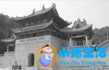 高平十大碗芥末汤做法
