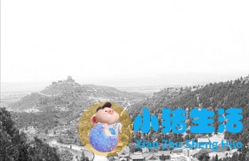 高平十大碗芥末汤做法