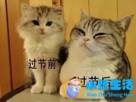 <strong>运动减肥多久能见效果？节后想减肥的必</strong>
