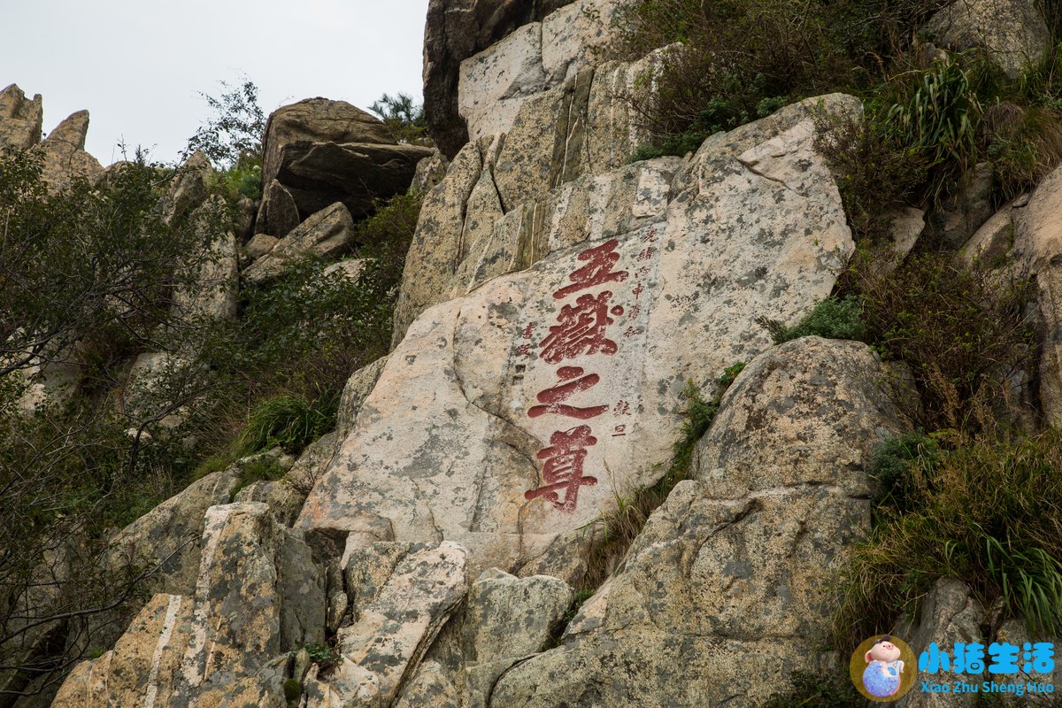 泰山旅游景点电话