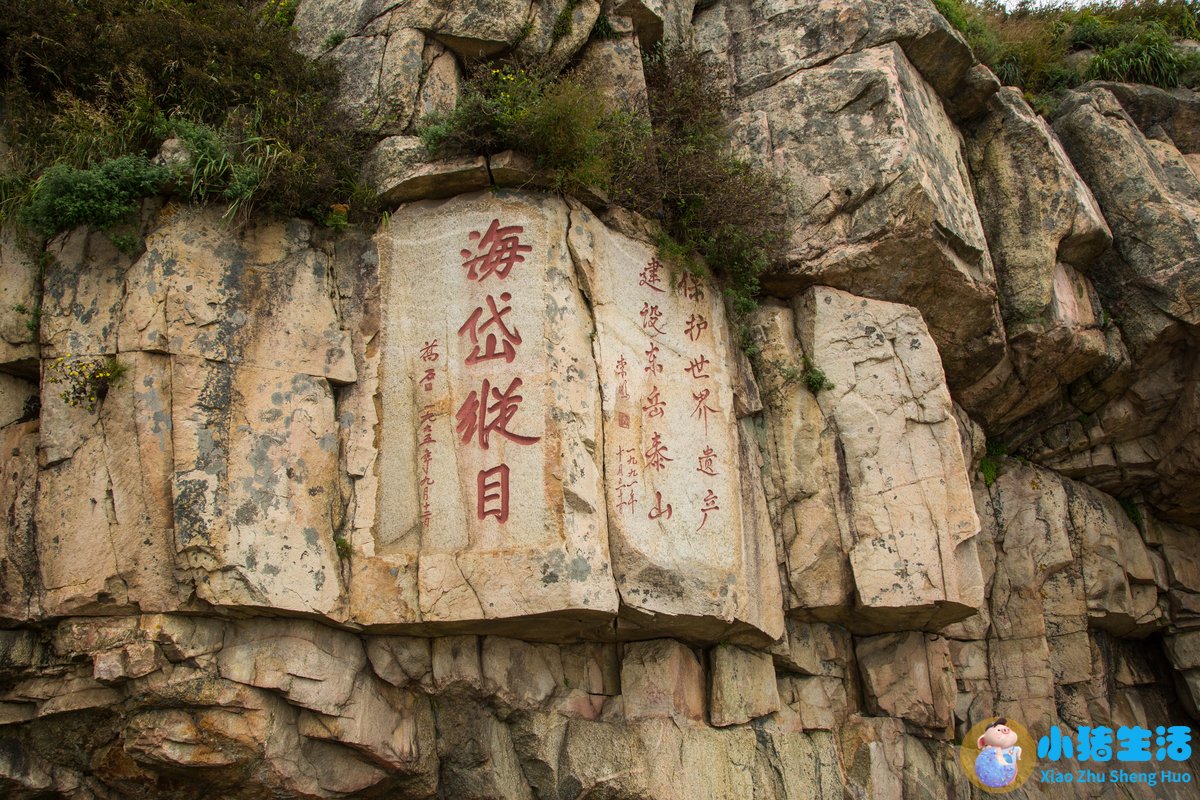 泰山旅游景点电话