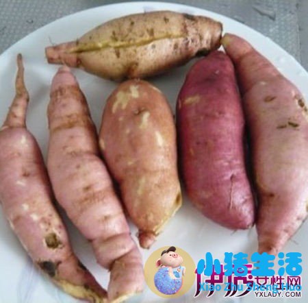红薯和土豆能一起吃吗