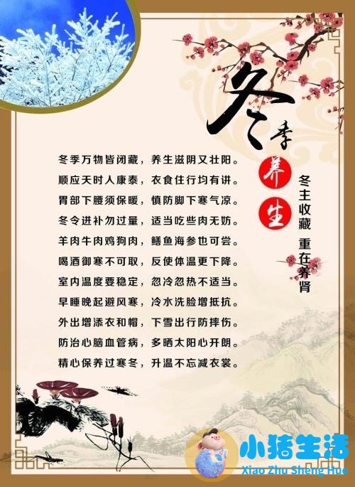 冬季养生知识虾子的做法